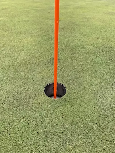 ホールの旗竿が立っている根本とカップの画像。