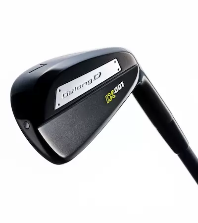 フォーティーン Gelong D IX-001 アイアン