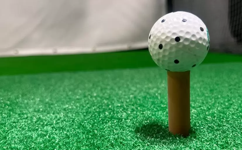 練習用ゴルフボール