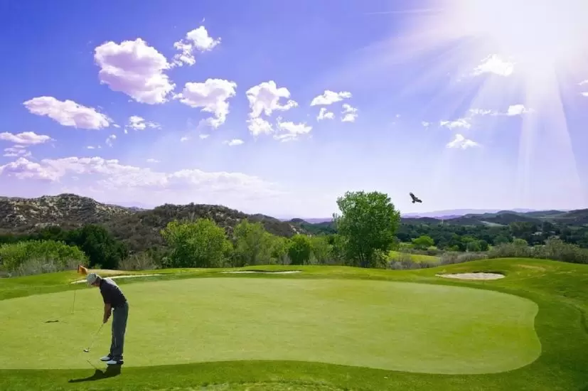 ゴルフ　パット　グリーン