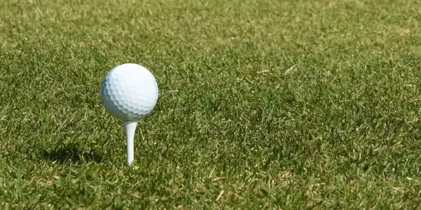 ゴルフボールの種類