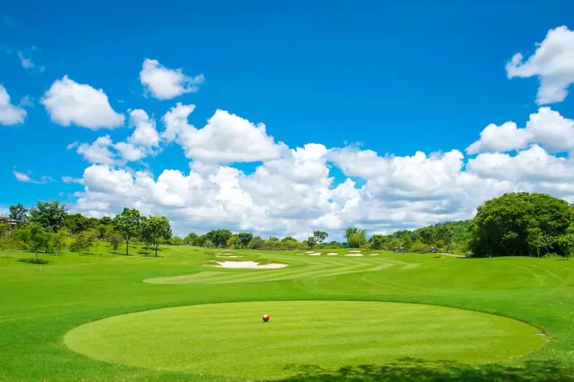 ゴルフ,クラブセッティング