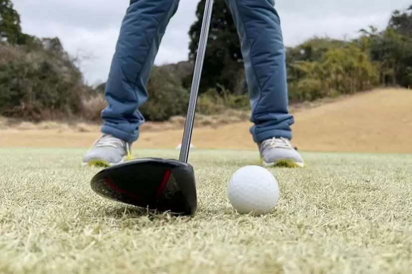 フェアウェイウッド