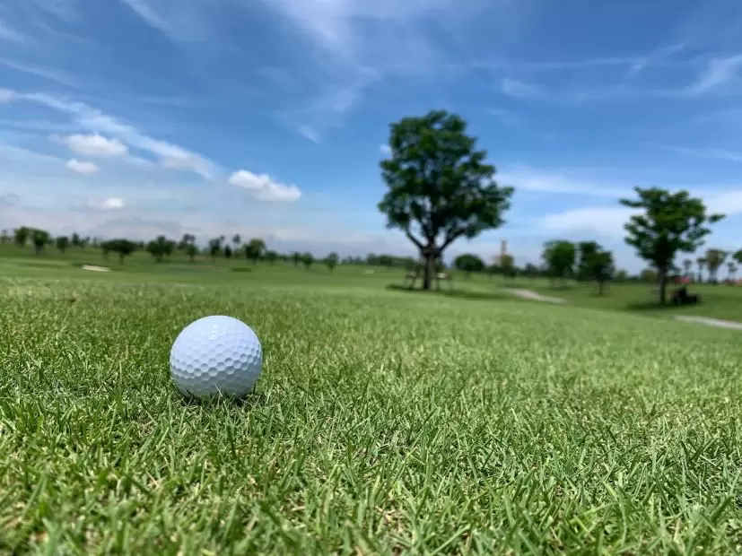 ユーティリティ,種類