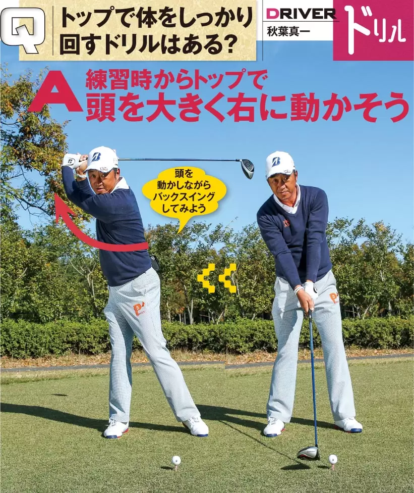 秋葉真一,ドライバー,アドレス