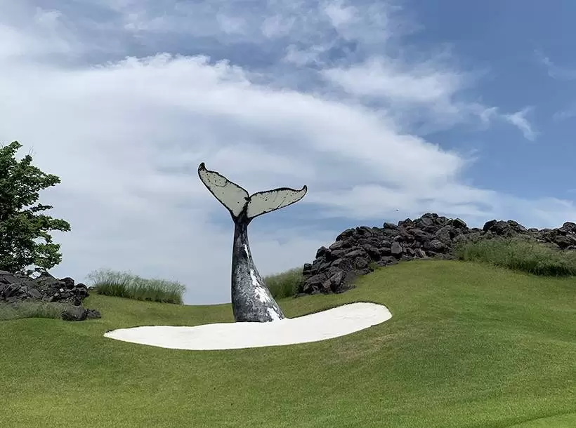 吉井カントリークラブのコース内にあるクジラのオブジェの写真