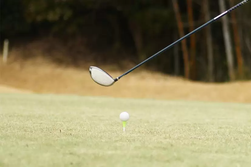 レディースドライバーの選び方