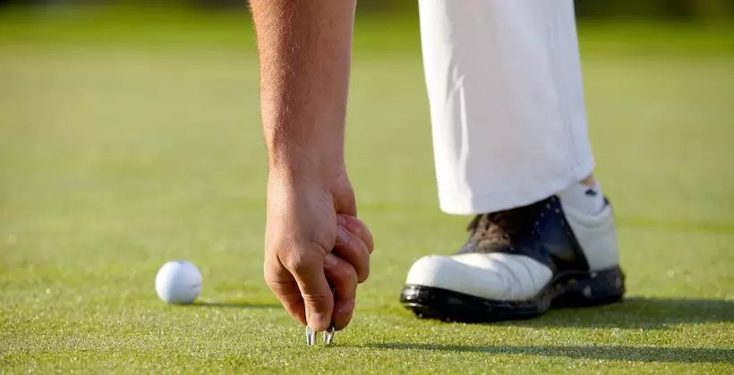 グリーンフォーク