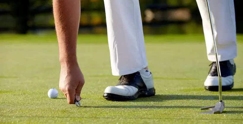 グリーンフォーク,使い方