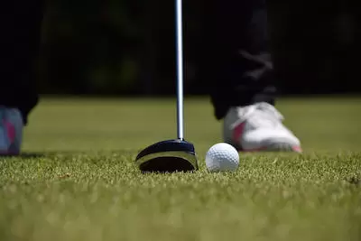 フェアウェイウッド