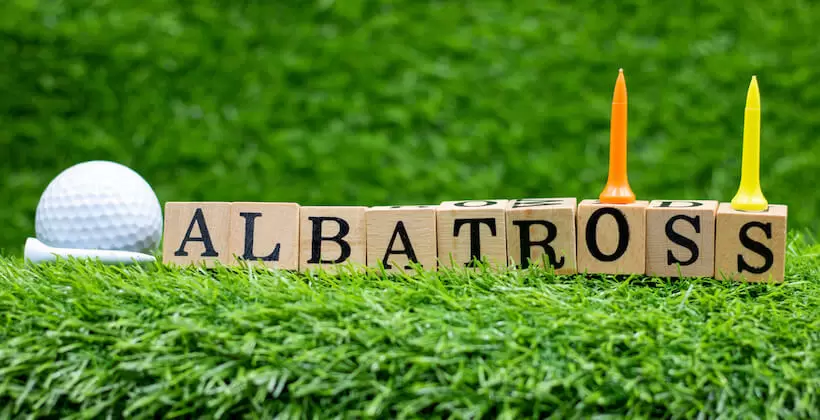 ゴルフ,アルバトロス
