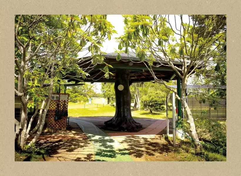 仙塩ゴルフ倶楽部 浦霞コース