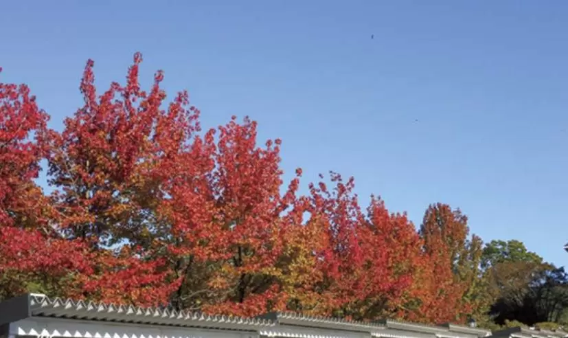 PGM富岡カントリークラブ サウスコース（群馬県）