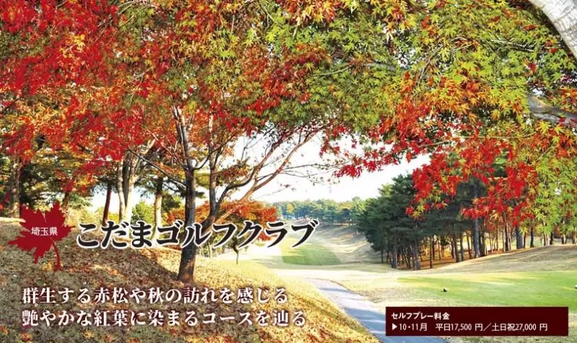 こだまゴルフクラブ（埼玉県）