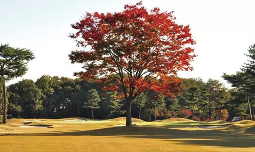 こだまゴルフクラブ（埼玉県）