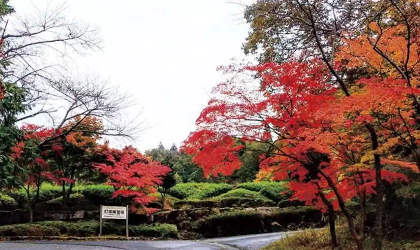 オレンジシガカントリークラブ（滋賀県）