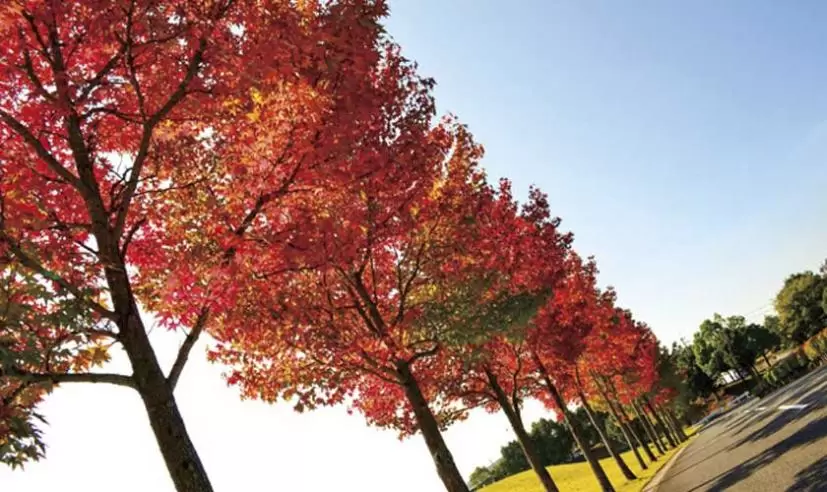 ヤシロカントリークラブ（兵庫県）