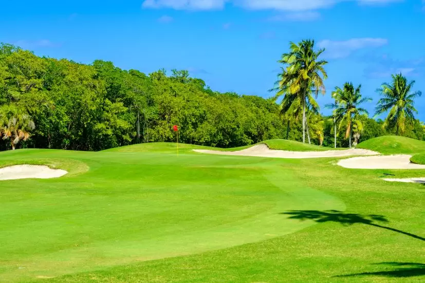 ゴルフ,アプローチ