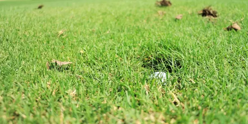 6インチプレース