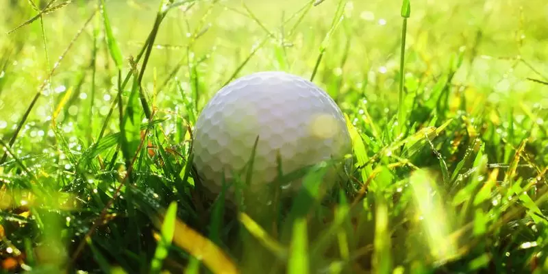 6インチプレース