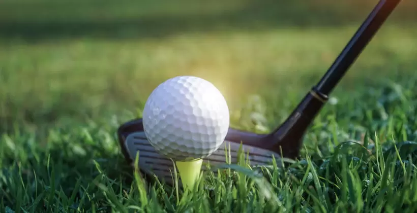 ゴルフボール