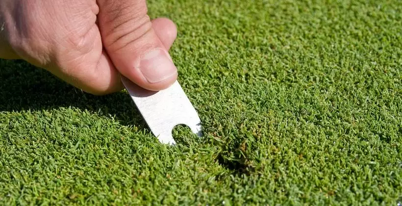 グリーンフォーク