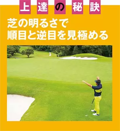 芝の明るさで順目と逆目を見極める