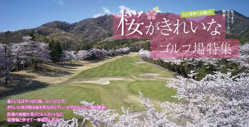 一足早くお届け！桜がきれいなゴルフ場特集