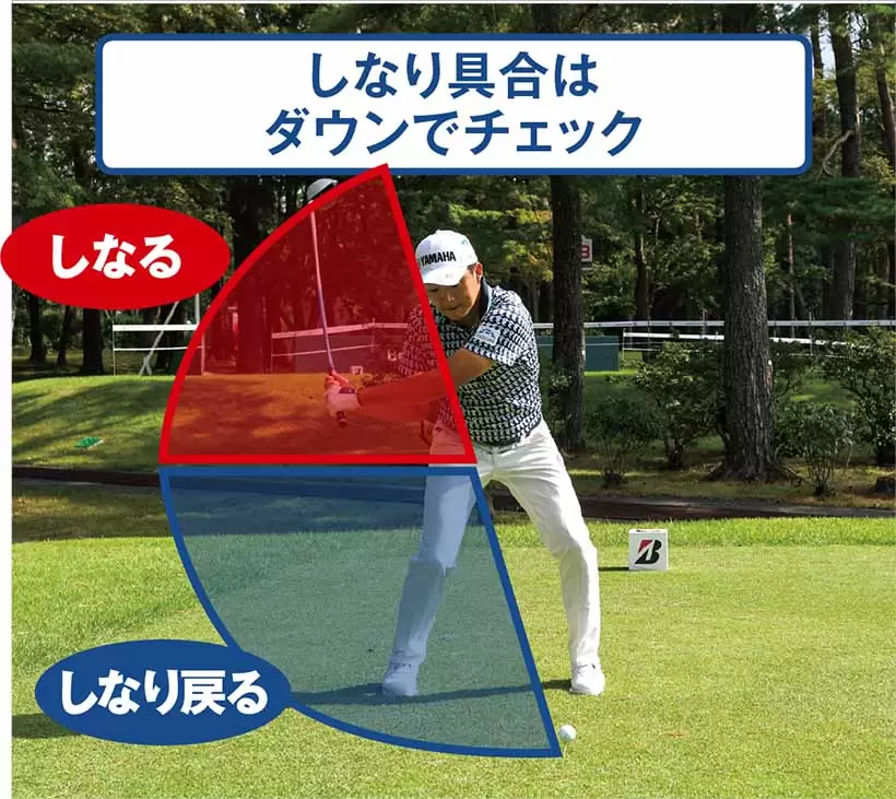 しなり具合は ダウンでチェック