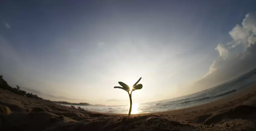 金無いのにゴルフやってるオヤジ誕生秘話