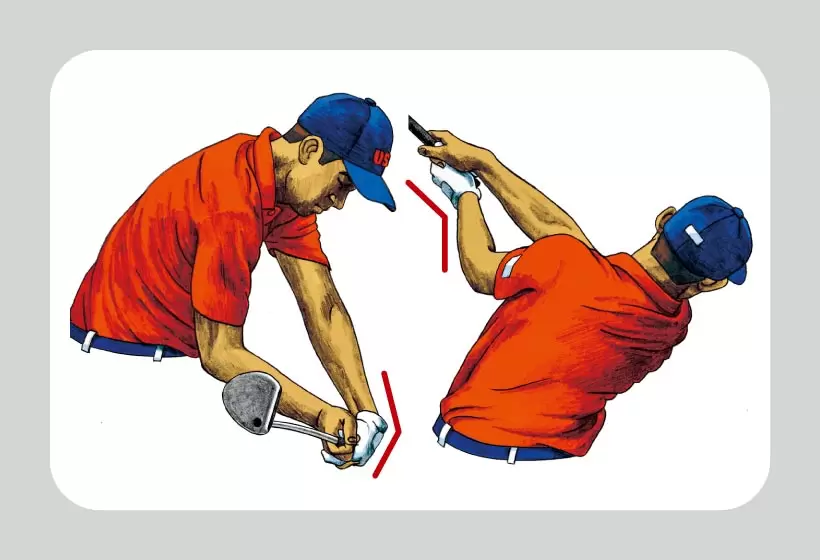 コリンモリカワ