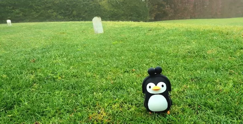 ゴルフ場に佇むペンギンのぬいぐるみ