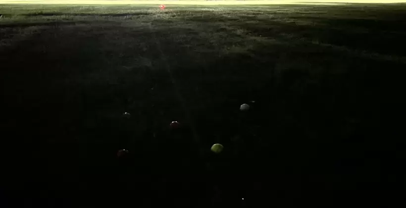 ラフに並ぶカラーのゴルフボールの写真