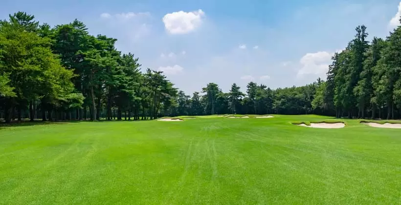 ゴルフコース