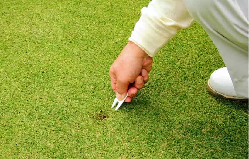 ボールマーク直し