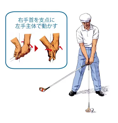 ホーガン流ワッグル