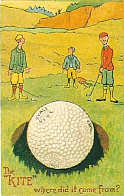 突起状のブランブル（ピンプル）