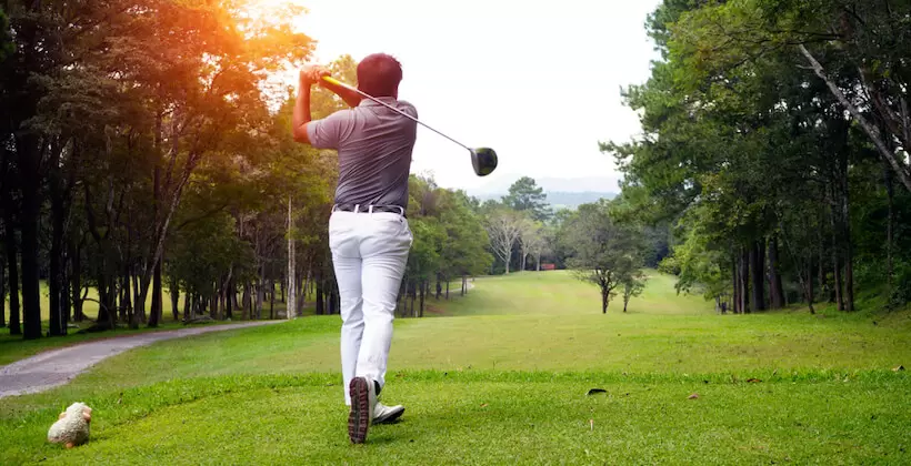 飛ぶドライバー