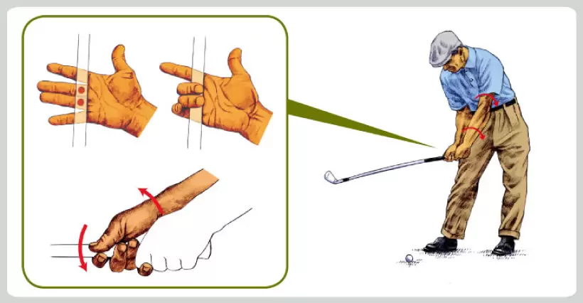 右手2本指を「支点」にすると、左手3本指が「力点」になる