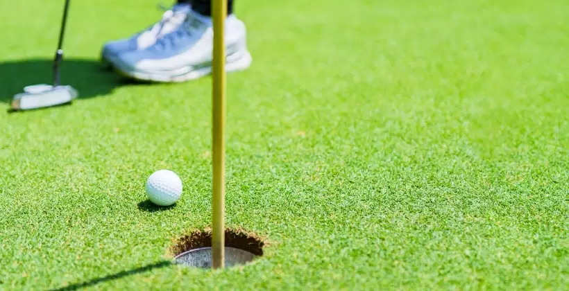 ゴルフ場の芝,グリーンの画像