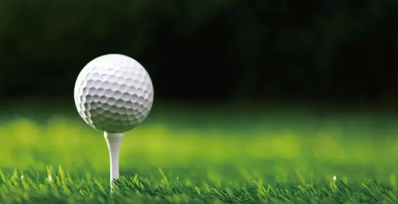 ゴルフ,ボール