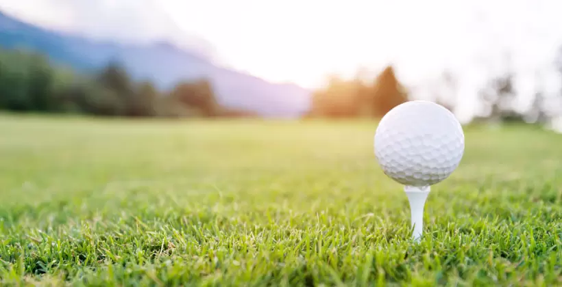 ゴルフ場,ゴルフボール