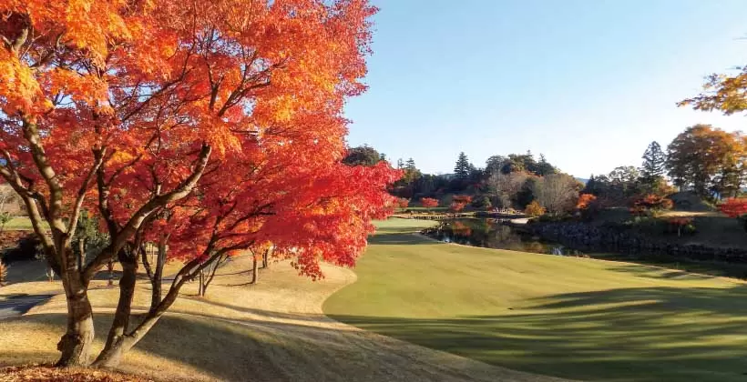 生涯スポーツ・ゴルフと健康「末長くゴルフを楽しむために」|第21回