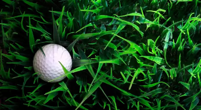 ゴルフボール