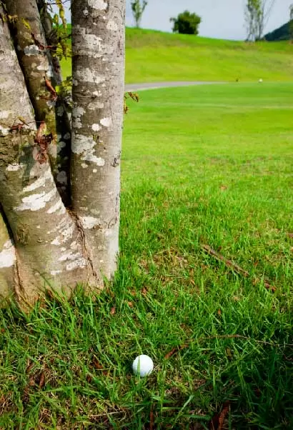 アンプレヤブル