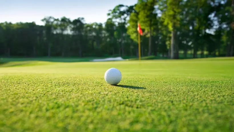ゴルフ場,グリーン