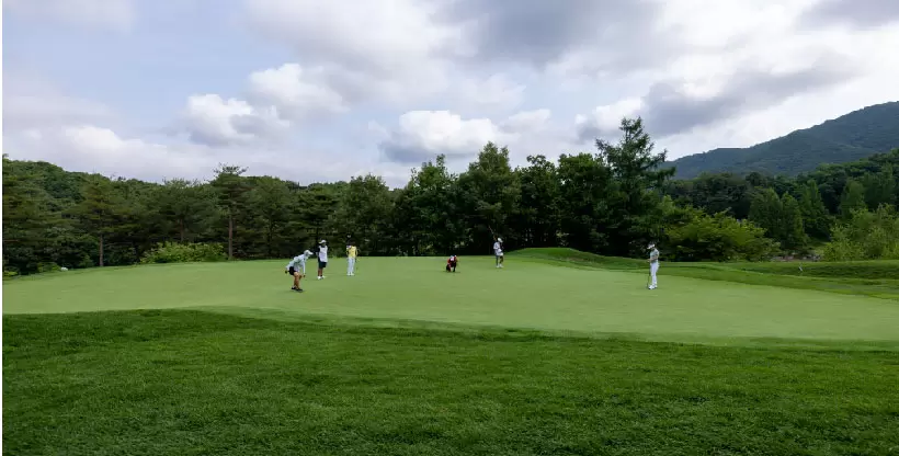 ゴルフ場,グリーン