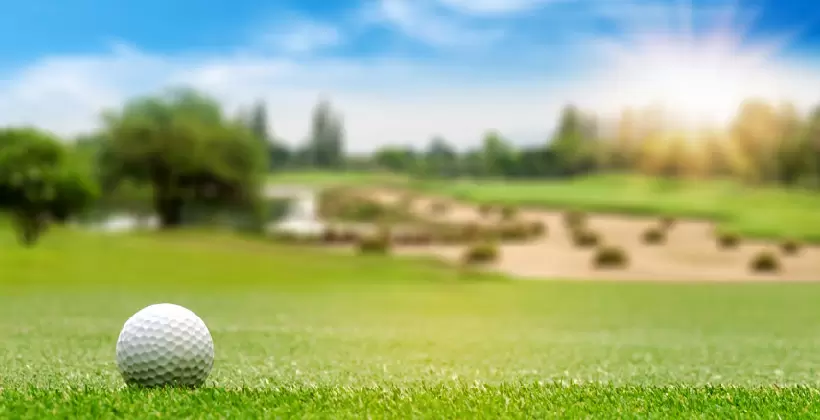 ゴルフボール