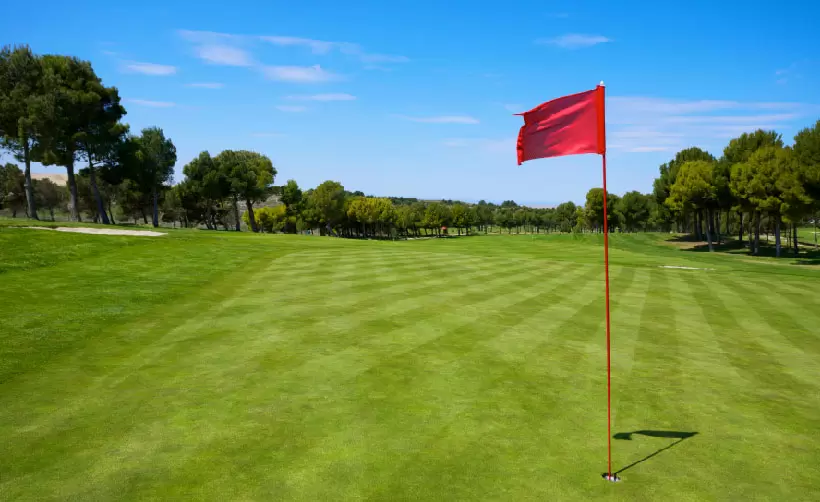 ゴルフ場,グリーン