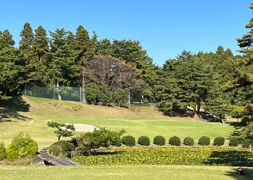 ゴルフ場,グリーン